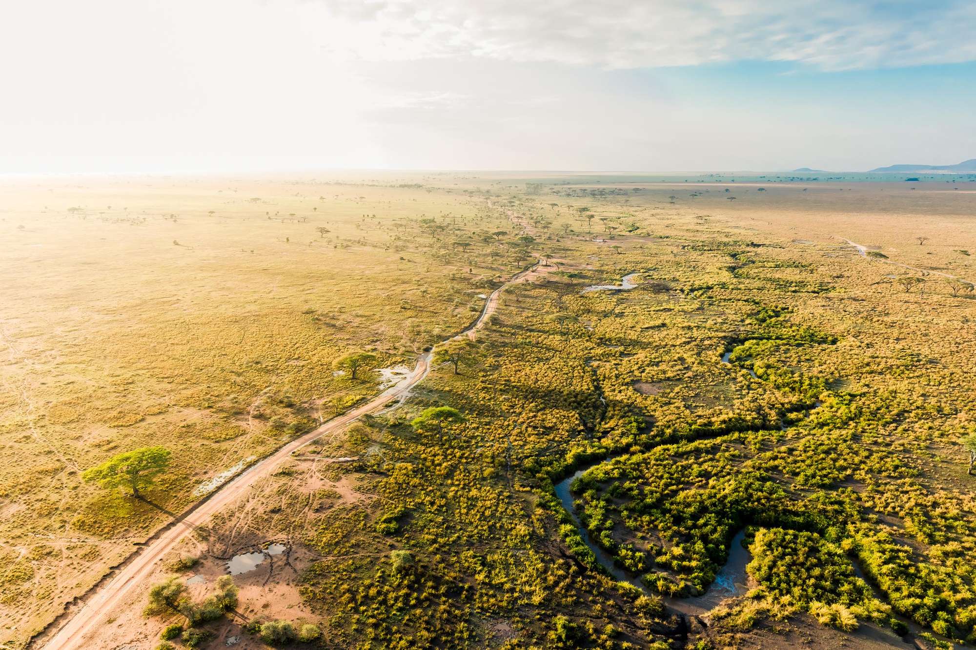Dramatic Landscape View of Serengeti National Park - Easy Travel Tanzania