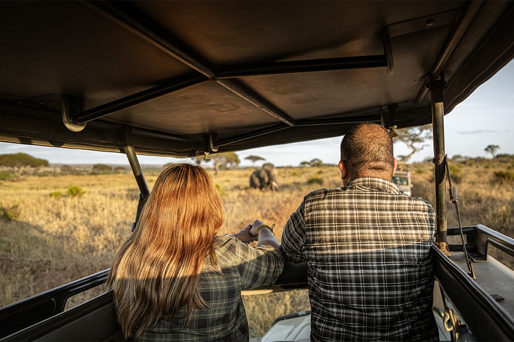 一对夫妇在塔兰吉尔的 Easy Travel 游猎车里发现了一头大象