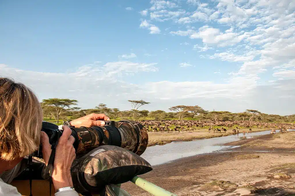 A photographer taking images of a wildebeest herd in Serengeti National Park, Tanzania