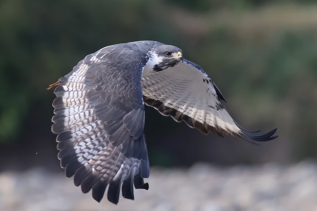 坦桑尼亚奔巴岛水疗中心