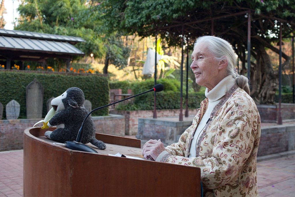 ジェーン・グドール博士会議ネパール