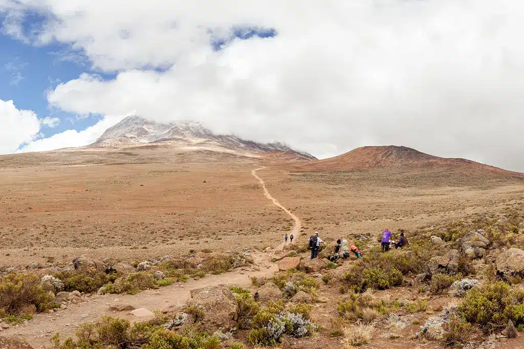 Dry trails through the Alpine desert of Mount Kilimanjaro.jpg