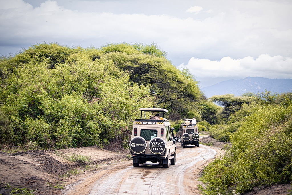 坦桑尼亚曼雅拉湖国家公园的 Easy Travel 游猎车