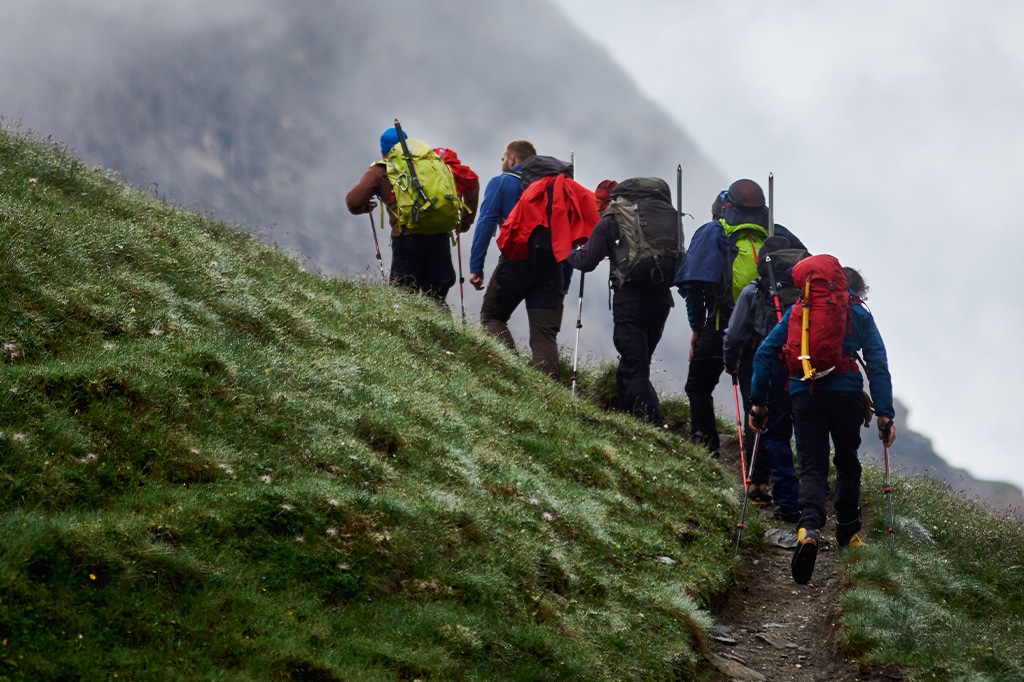 Group of hikers hiking with backpack