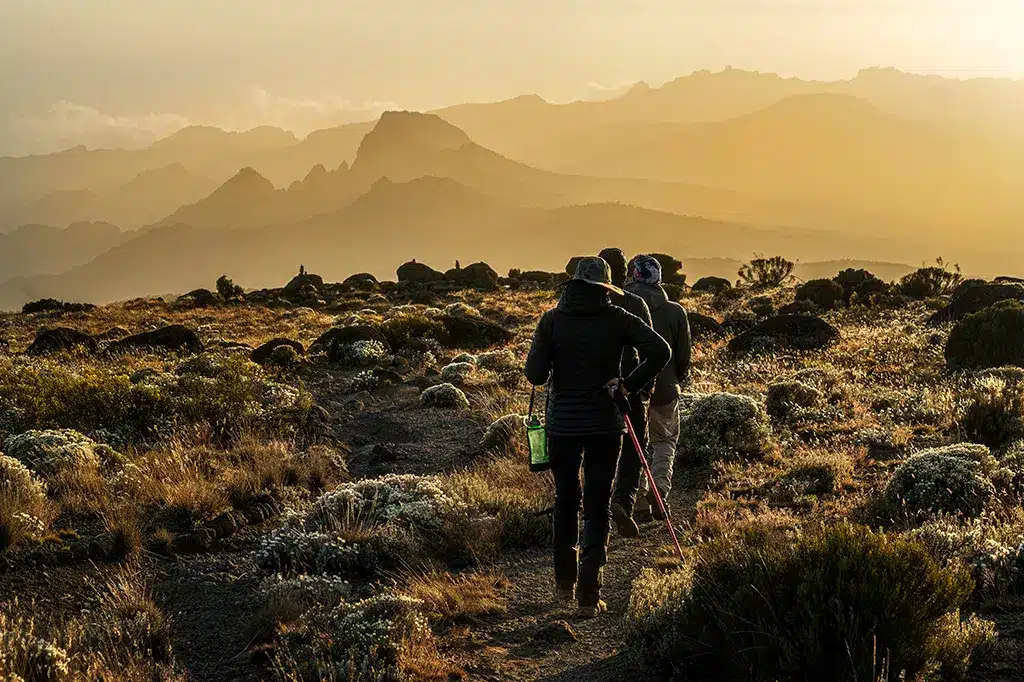 Hikers trek through the Shira Plateau on Mount Kilimanjaro 1.jpg