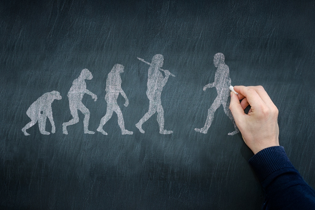 人類の進化に関する黒板