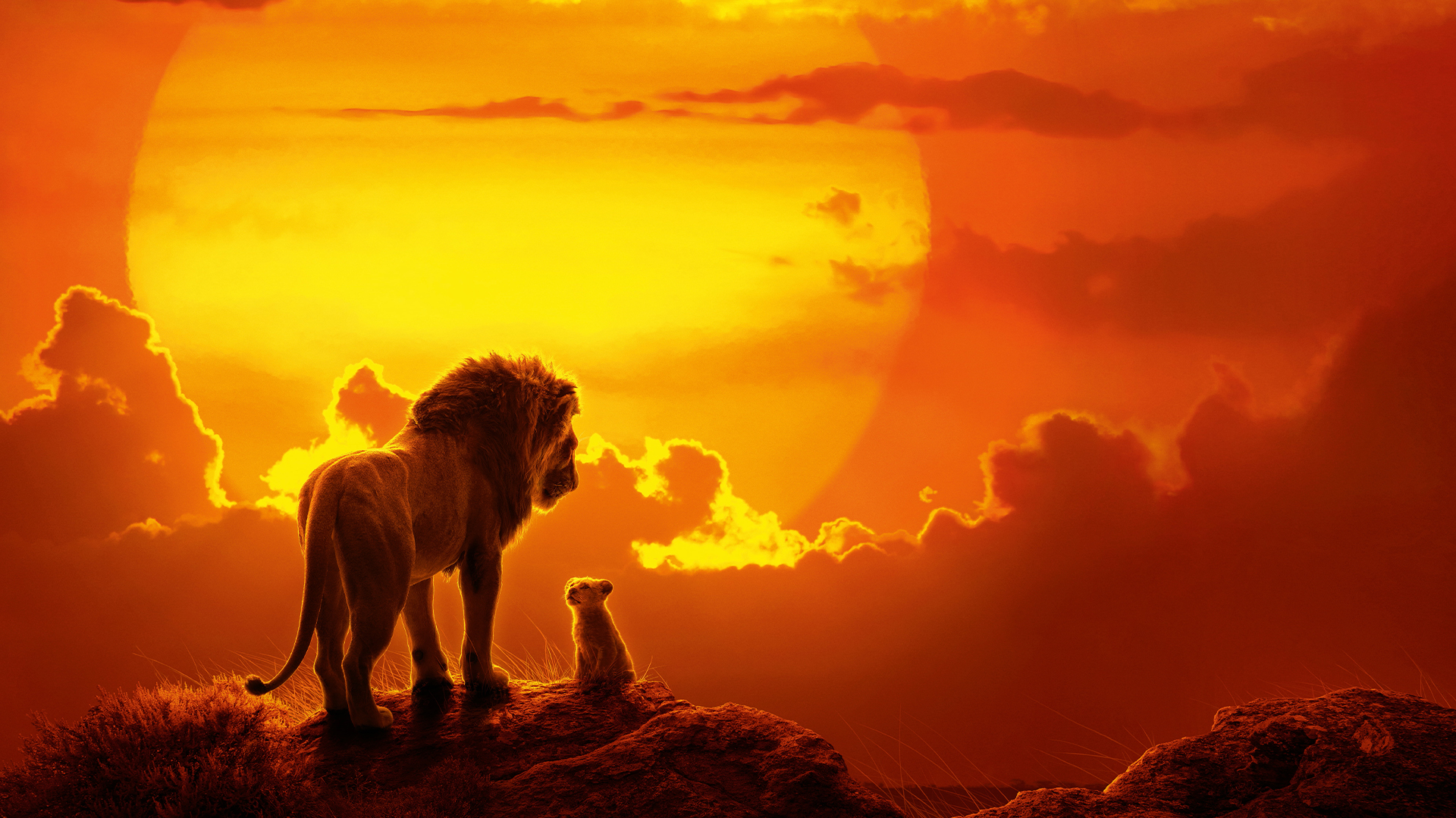 Mufasa en zijn zoon Simba uit De Leeuwenkoning