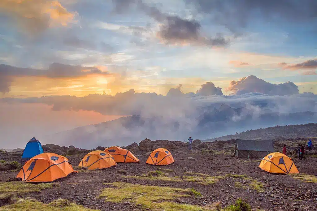 Tents pitched at the campsite on Mount Kilimanjaro Tanzania.jpg