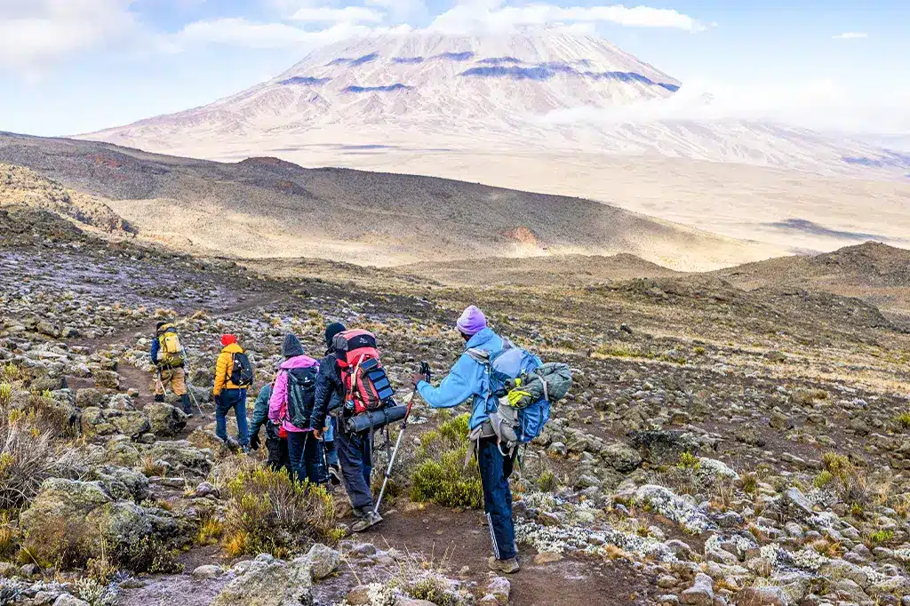 Tourist hikers trekking through the trails of Mount Kilimanjaro 1.jpg