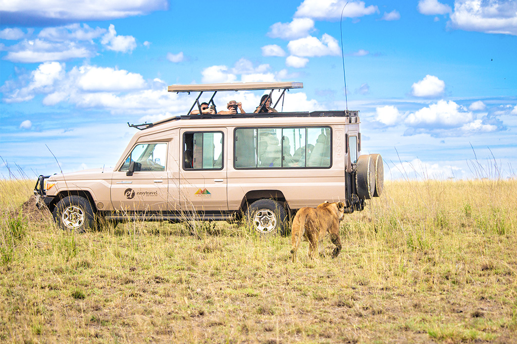 Tourists spotting a lion on a safari with Easy Travel in Serengeti National Park