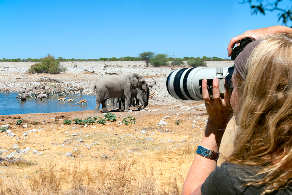 Woman photographer capturing animals image at a waterhol in Tanzania in October