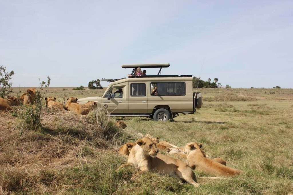 Tanzania - easy travel safari off road 4x4 vehicle 1024x683 1 - How many animals in the Serengeti?