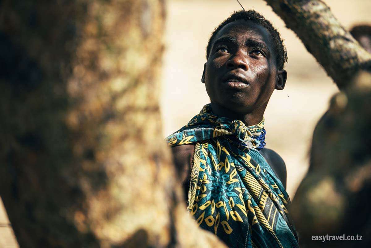 一位身着带有坦桑尼亚设计图案的布料的人仰望天空。他们身旁环绕着高大的树枝，阳光在他们的脸上投下阴影。背景虚化，营造出一种宁静自然的氛围。——坦桑尼亚轻松旅行