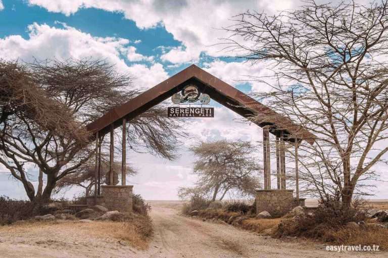 Tansania - serengeti gate 1 1 1 - blog | tansania safari