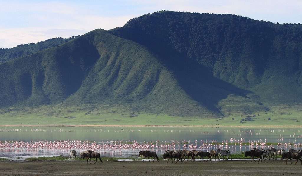 Tanzania - shutterstock 1147838966 - topp 10 fantastiska fakta om ngorongoro-kratern