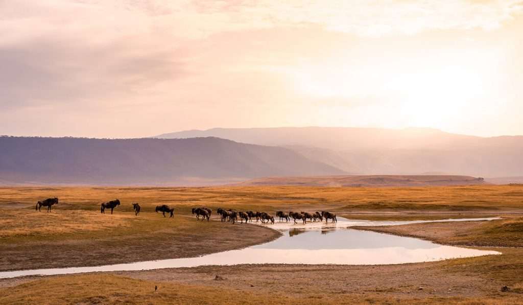Tanzania - shutterstock 1840919209 - top 10 amazing facts about the ngorongoro crater