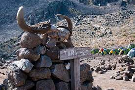 坦桑尼亚 - 11 5 - mt kilimanjaro trek - machame route 9 days - 小团游