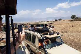 Tanzania - 11 7 - safari de los cinco grandes de tanzania y #039;