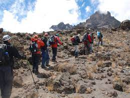 Tanzanie - 13 4 - trek du Kilimandjaro - route de rongai 6 jours