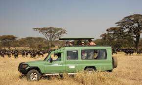 Tanzania - 14 6 - tanzania's ngorongoro crater & serengeti safari