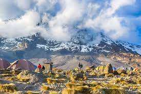 Tanzanie - 18 3 - trek du Kilimandjaro - route de rongai 6 jours