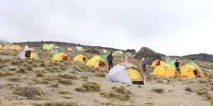 Tanzania - 23 2 - mt kilimanjaro trektocht - machame route 7 dagen