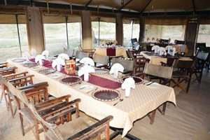 Tanzania - 3 8 - discover serengeti's great migration luxury safari