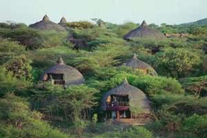 Tansania - 38 2 - Erleben Sie eine Luxus-Safari zur Gnuwanderung