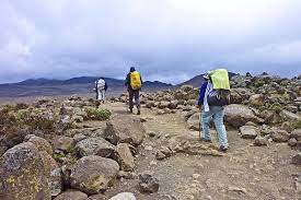 Tanzanie - 9 6 - trek du Kilimandjaro - route de rongai 6 jours