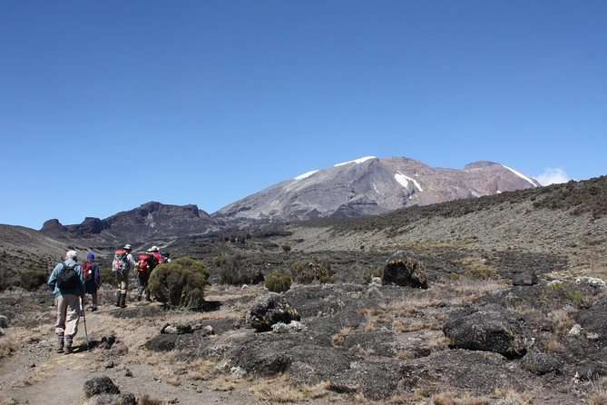 Tanzania - mt 3 - berget kilimanjaro dagstur