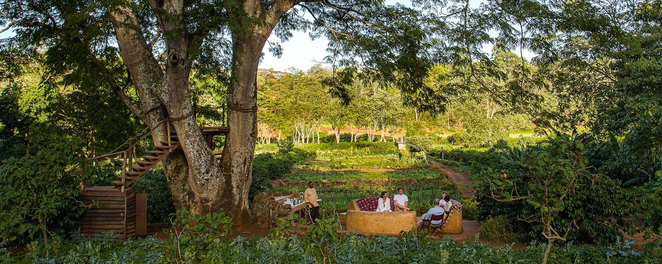 旅行シーズン4 タンザニア - 旅行の季節 4 - 旅行の季節