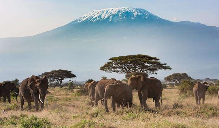 Tanzania - 24 m Kilimanjaro - 10 interessante feiten over de Kilimanjaro
