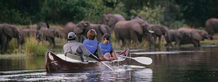 一群人在独木舟上欣赏大象景色
