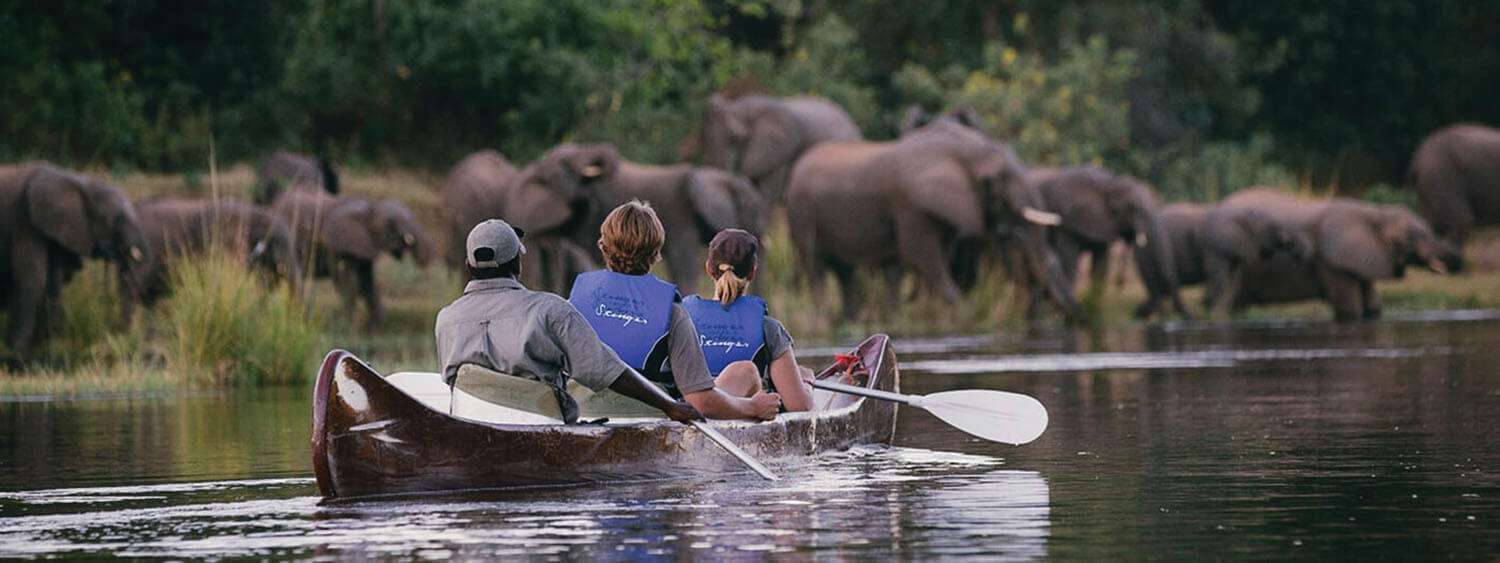Group on canoe with elephant view