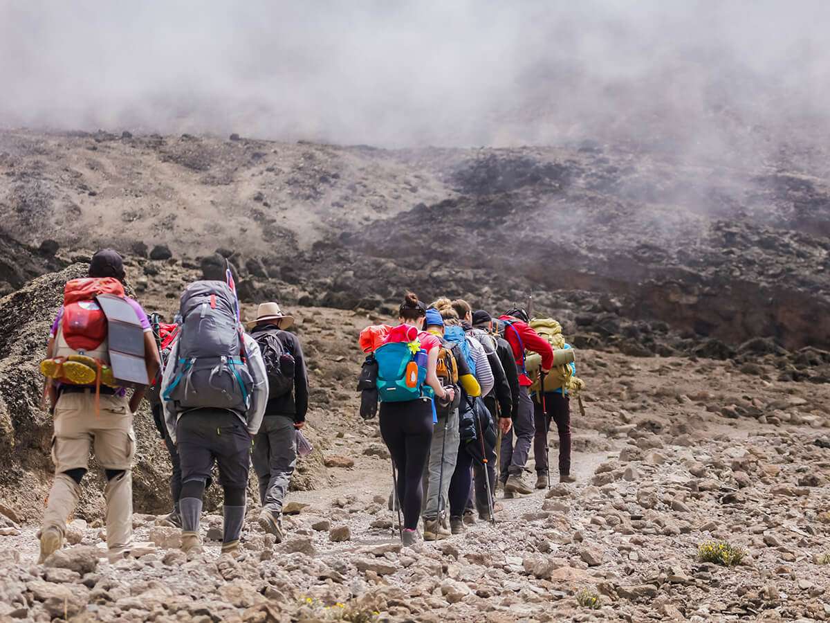 Tanzania - how long does it take to climb mount kilimanjaro - How many animals in the Serengeti?
