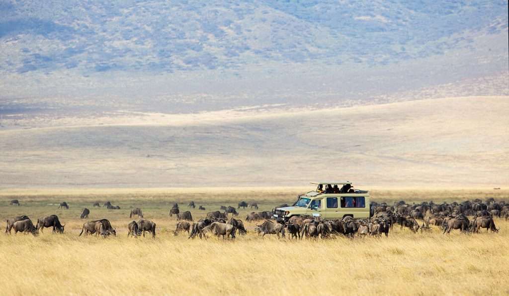 Tansania - Nebensaison 1 - Wie viel kostet eine Safari in Tansania?