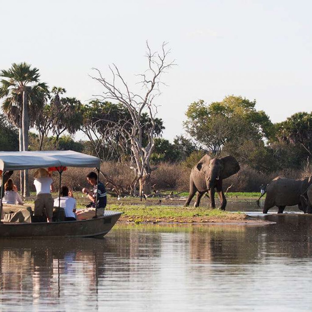 Tansania – Nyerere-Nationalpark, früher bekannt als Selous Game Reserve im Juni – Top 10 Aktivitäten in Tansania im Jahr 2023