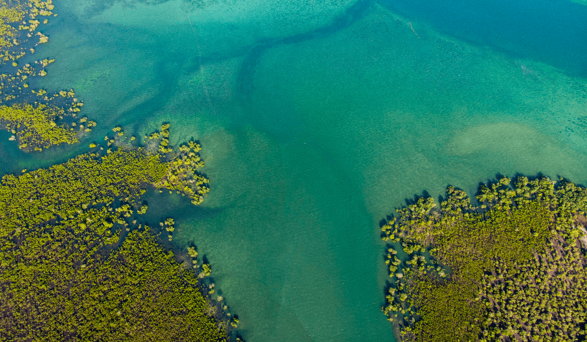 Tanzania - pemba-eiland in februari - februari