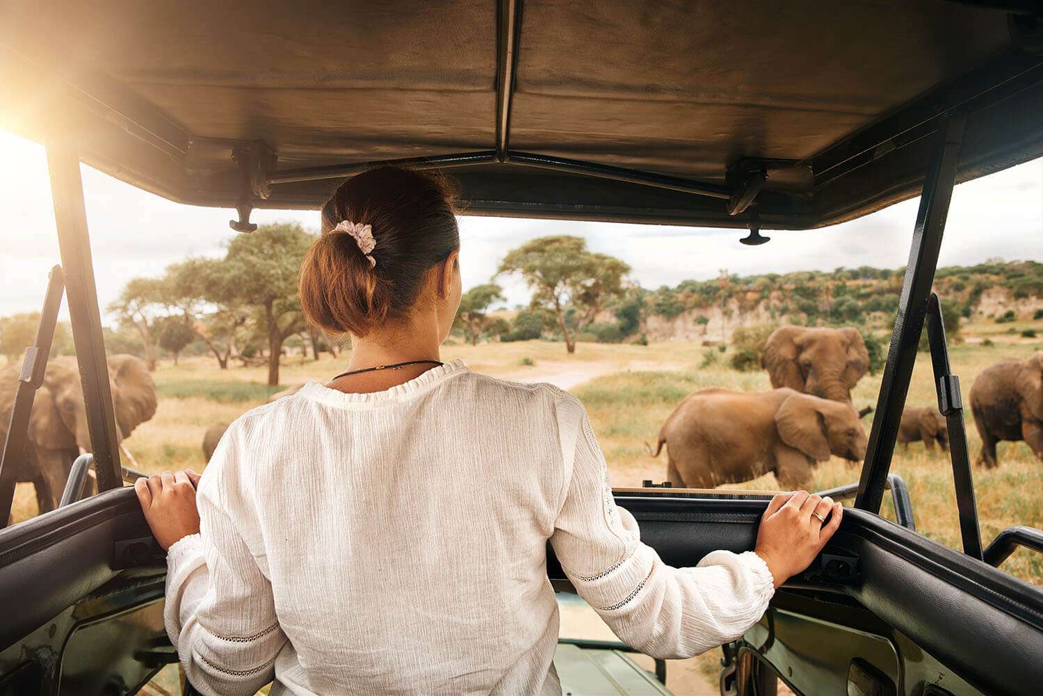 Lady looking at elephants