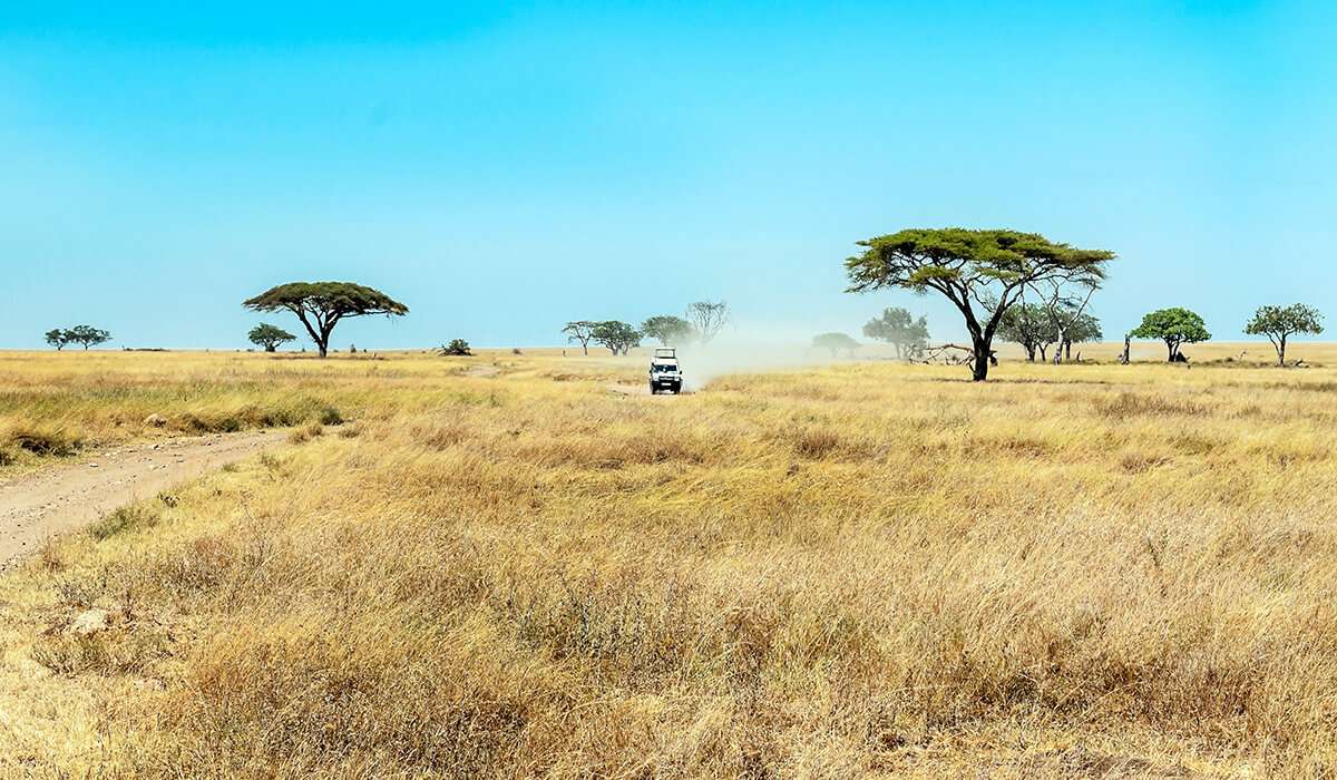 Tanzania - weer en landschap in juli - juli
