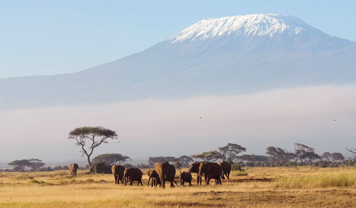 Tanzania - istock 108202514 - top 10 feiten over de Kilimanjaro