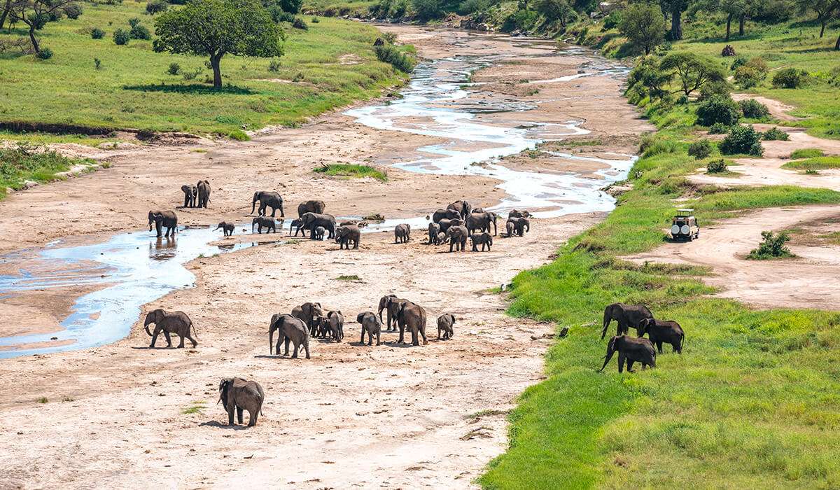 Tansania - wo hingehen Tarangire-Nationalpark - wohin in den nördlichen Kreis gehen