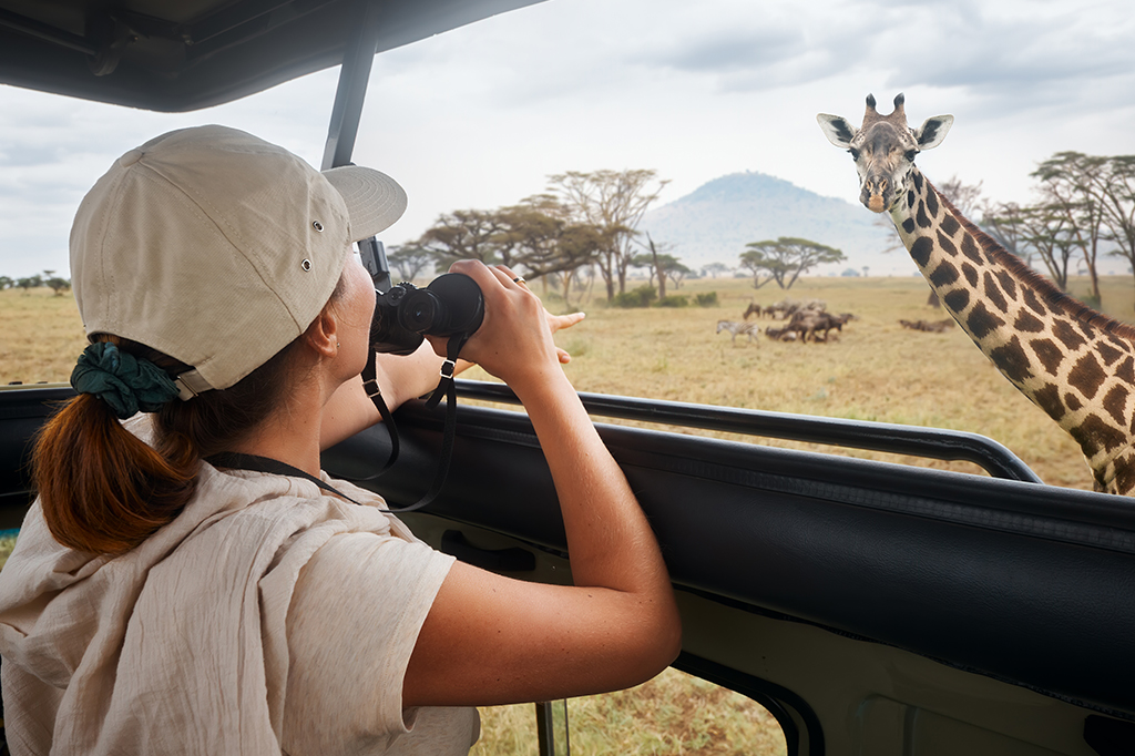 A young woman tourist looking at the giraffe while on safari in Serengeti, Tanzania in June