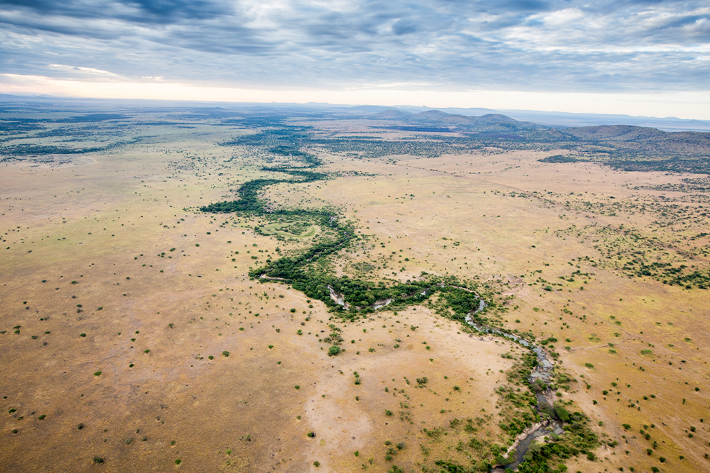 坦桑尼亚塞伦盖蒂格鲁梅蒂河鸟瞰图 1 塞伦盖蒂斯广阔的草原景观,鸟瞰图展现了其独特的地质构造。一条蜿蜒、郁郁葱葱的绿色河流穿过,在多云的天空下,点缀着小灌木和树木。远处的山丘在地平线上拔地而起。——坦桑尼亚十一月轻松旅行