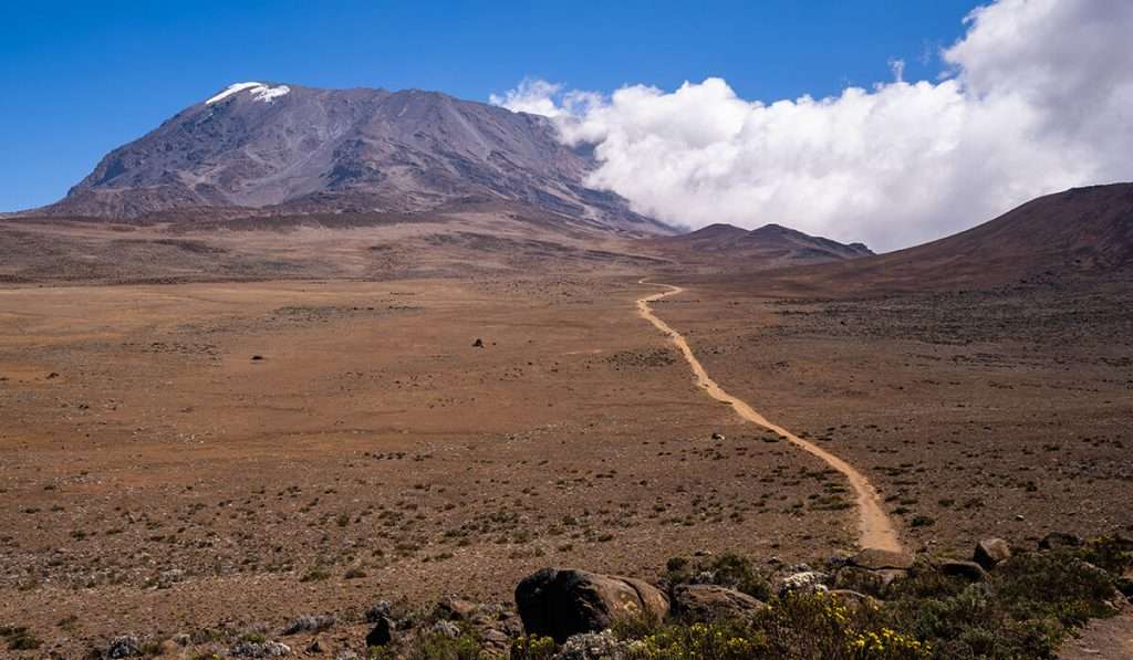 Toppen av berget kilimanjaro