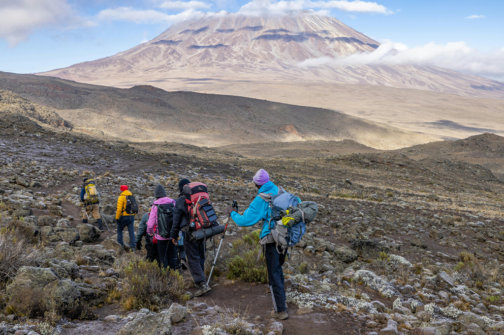 Wanderer auf den Kilimandscharo-Pfaden in Tansania 1 Eine Gruppe Wanderer mit Rucksäcken wandert auf einem felsigen Pfad in Tansania in Richtung eines schneebedeckten Berges unter leicht bewölktem Himmel. Die weite Landschaft ist karg, nur vereinzelt wachsen Grasflecken. – Easy Travel Tanzania