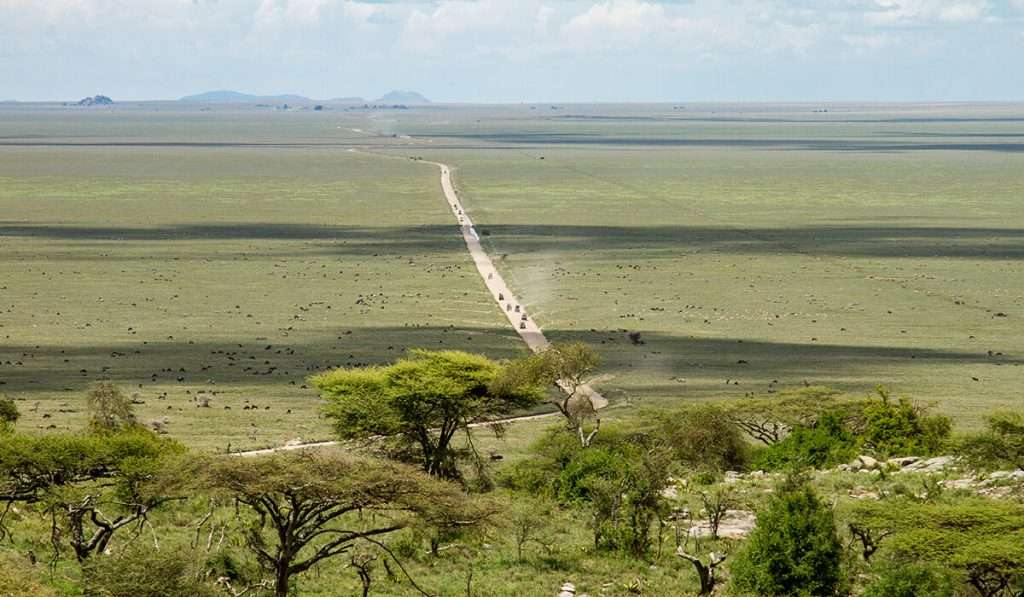 Tansania - wie viele Nationalparks kann ich auf einer Safari sehen - wie viel kostet eine Safari in Tansania?