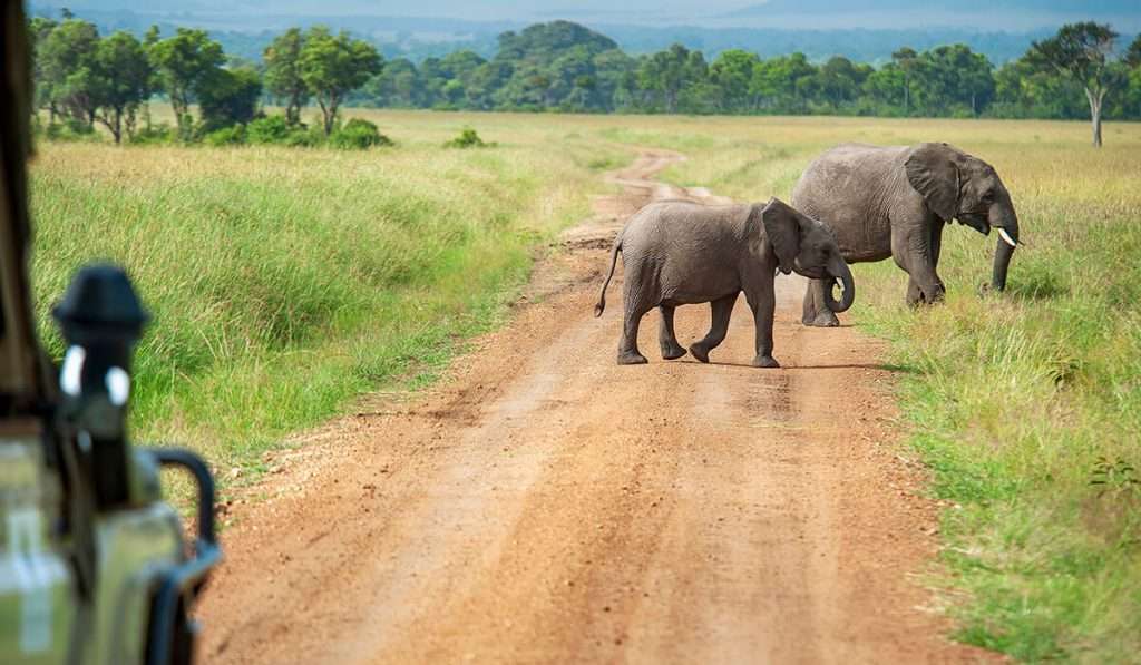 Tanzania - hoeveel kost een tanzania safari - hoeveel kost het om op safari te gaan in tanzania?
