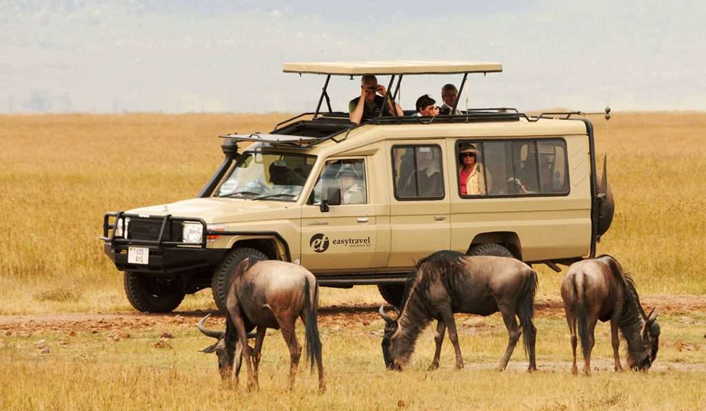 Safaris privados