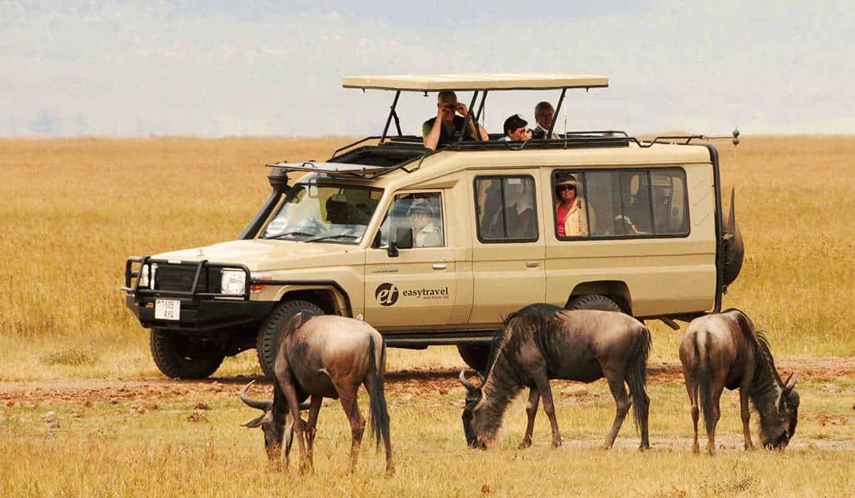 Private safaris